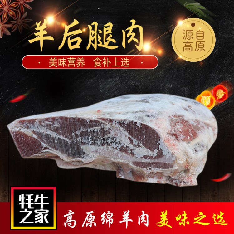 食品羊后腿肉(大块) 原切无腌制羊后腿肉 绿色冷冻羊肉批发