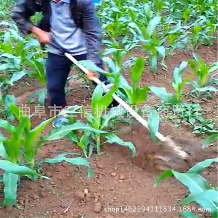 本田动力 四冲程汽油草坪机  厂家直销手推式草坪机