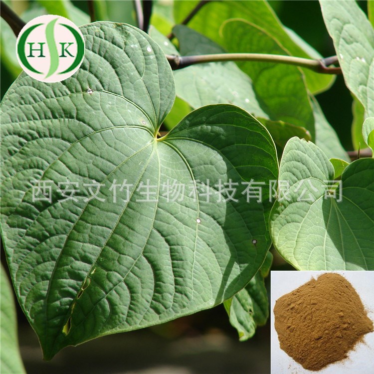 文竹生物 卡瓦内酯30% 9000-38-8 卡瓦提取物