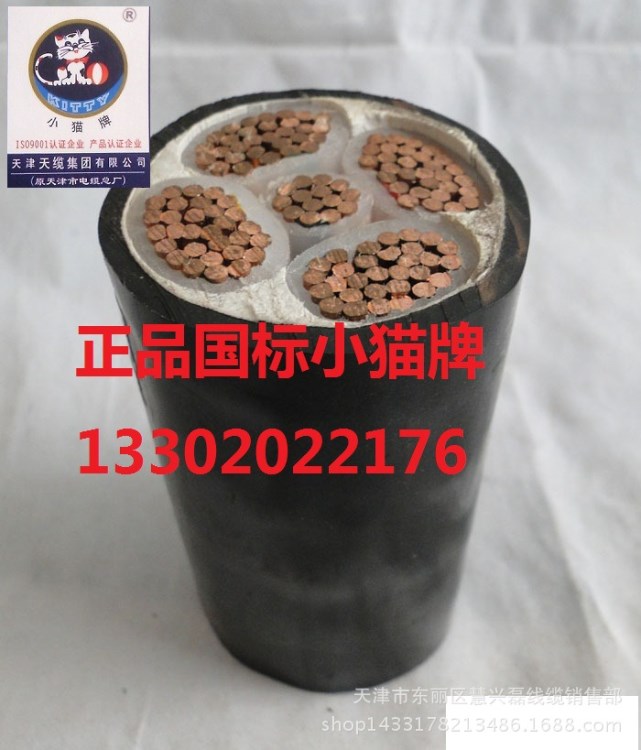 厂家直销天津国标小猫牌ZCYJV-3*185 2阻燃电力电缆