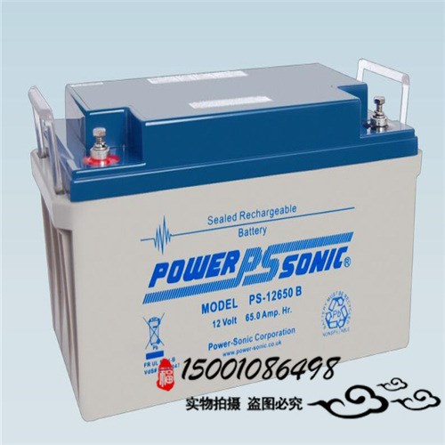 法国原装POWER SONIC PDC-12200B蓄电池