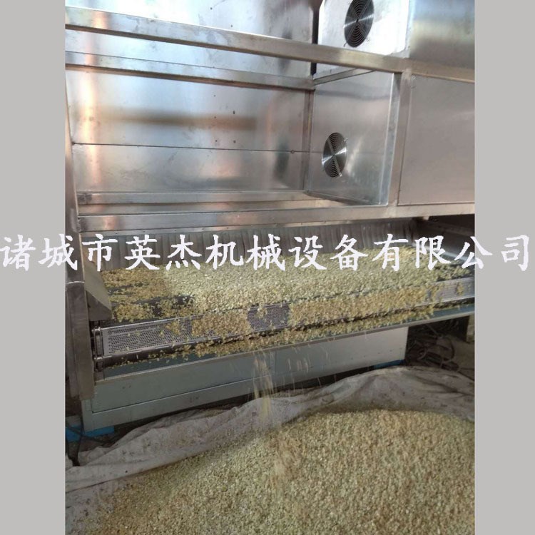 洋葱多层烘干机设备 网带式食品烘干设备 热风循环烘干箱