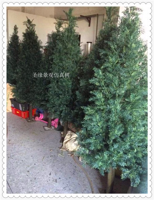 仿真绿植物小柏树圣诞假树  盆栽清明祭奠墓碑  摆件舞台道具包邮