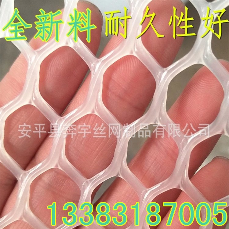 厂家生产 供应 聚丙烯 聚乙烯 白色塑胶网 塑料网 网孔 规格