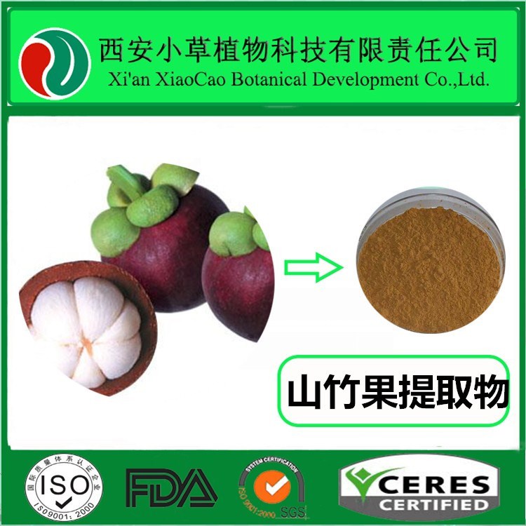 厂家供应山竹果提取物 倒捻子素 山竹果粉大量现货