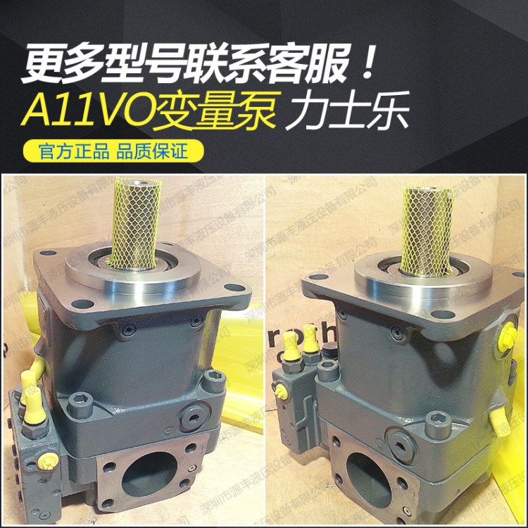 力士乐挖掘机液压泵A11VO95系列 徐工挖掘机驱动齿