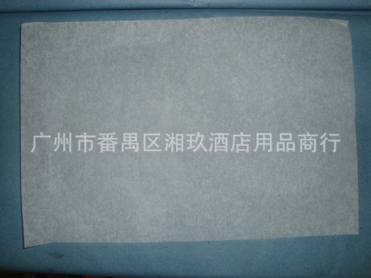 厂家直销 批发电烤炉专用吸油纸烧烤纸烘培纸烤肉纸25*35cm