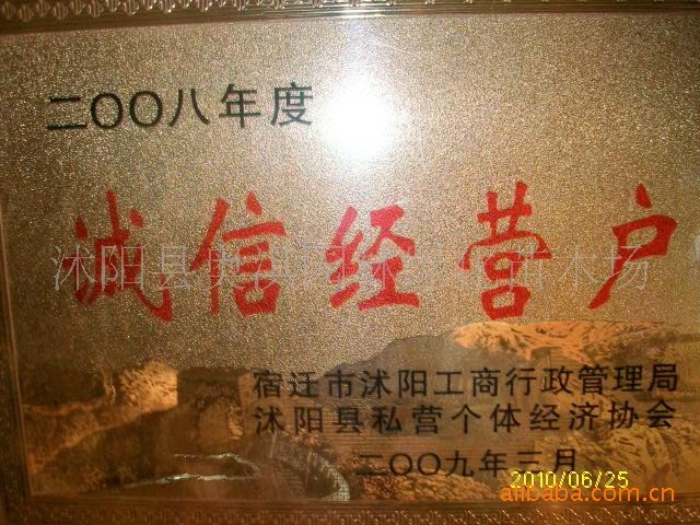 批发供应苗木种子 松种子 当年新採 量大优惠