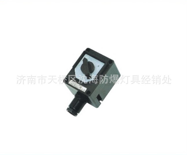  防腐防爆开关 防爆单级开关 防爆组合开关 BZM8030防腐开关