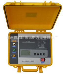 CT3920水内冷发电机绝缘电阻测试仪