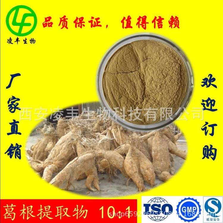 葛根提取物 葛根素 葛根粉 葛根黄酮 10:1浓缩提取 现货供应