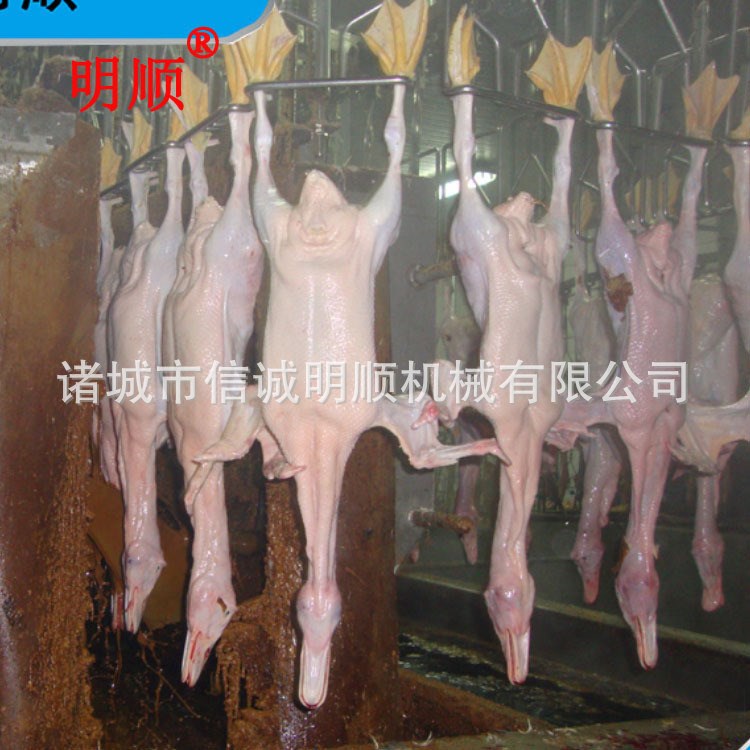 杀鸡流水线全自动卧式家禽屠宰设备欢迎来厂考察免费规划设计