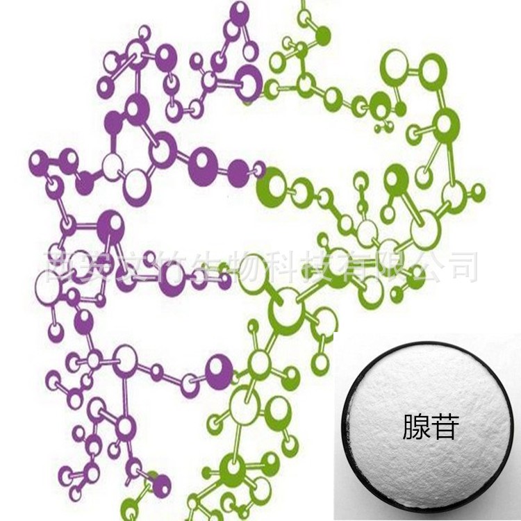 腺苷99% adenosine D-腺嘌呤核苷 文竹生物 58-61-7