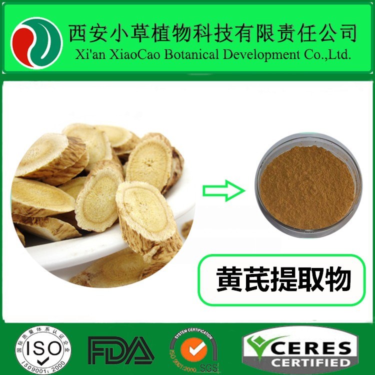 厂家现货供应黄芪提取物 黄芪粉 黄芪多糖