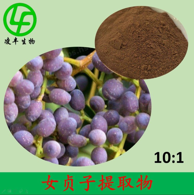 女贞子提取物 女贞子粉 植物提取物 生产厂家 现货包邮