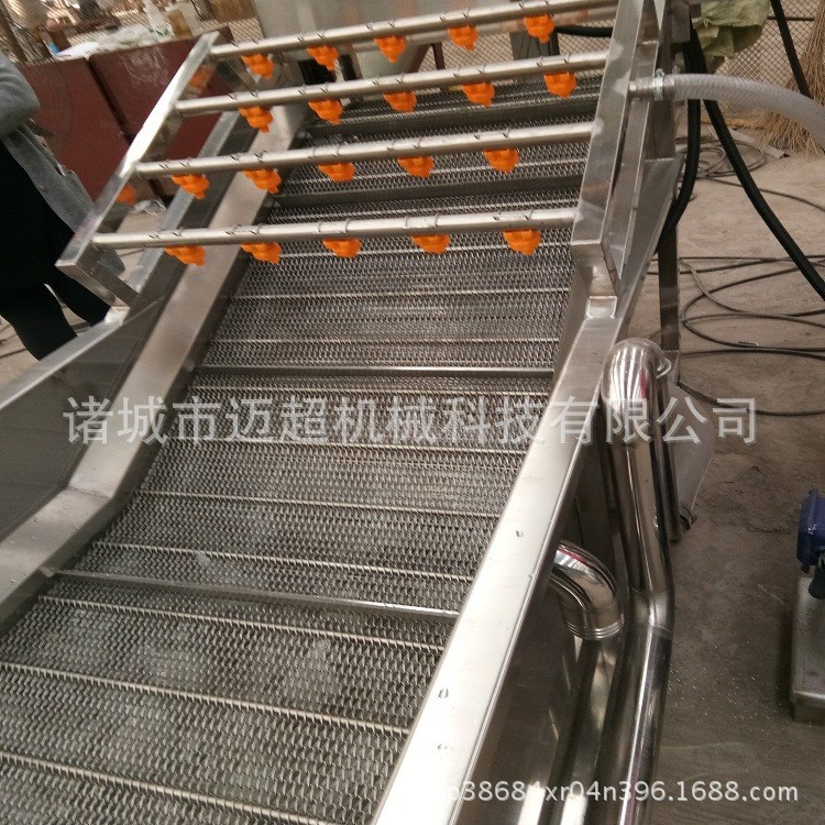 食品厂清洗设备 水果清洗机 蔬菜清洗机 不锈钢制造可定制质量好