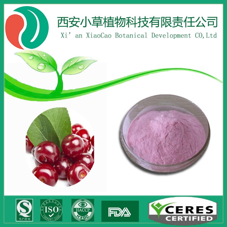 厂家现货供应针叶樱桃提取物 针叶樱桃果粉 淡斑美白