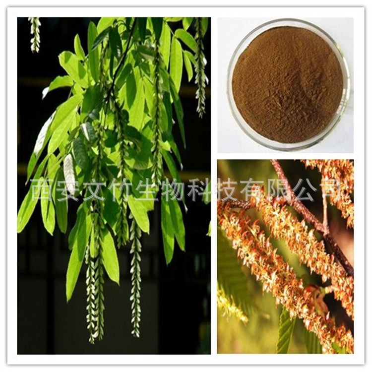 杨树花提取物 杨树花黄酮 杨树花粉   文竹生物