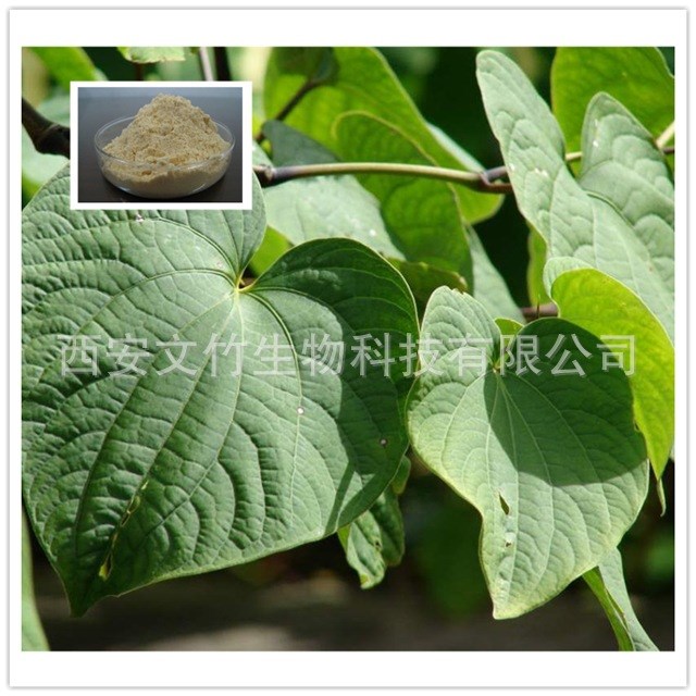 卡瓦提取物 卡瓦内酯30%-70%  文竹生物