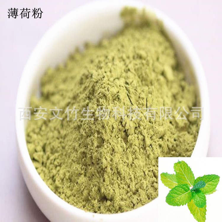 薄荷粉 喷雾干燥 薄荷提取物 供应植物生粉
