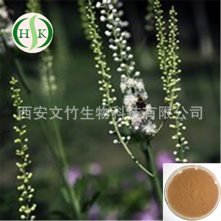 文竹生物 黑升麻提取物 8%三萜皂甙