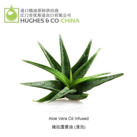 Aloe Vera Oil infused 芦荟浸泡油  英国  100ML