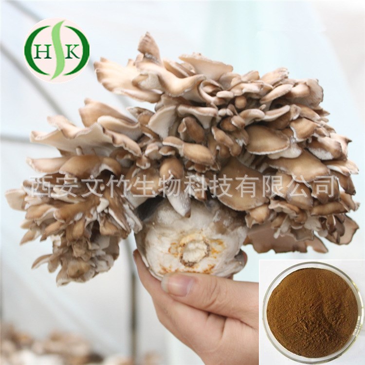 文竹生物 舞茸多糖 灰树花提取物 灰树花多糖