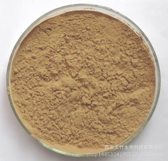 达米阿那提取物 Damiana extract 50:1 达米阿那粉