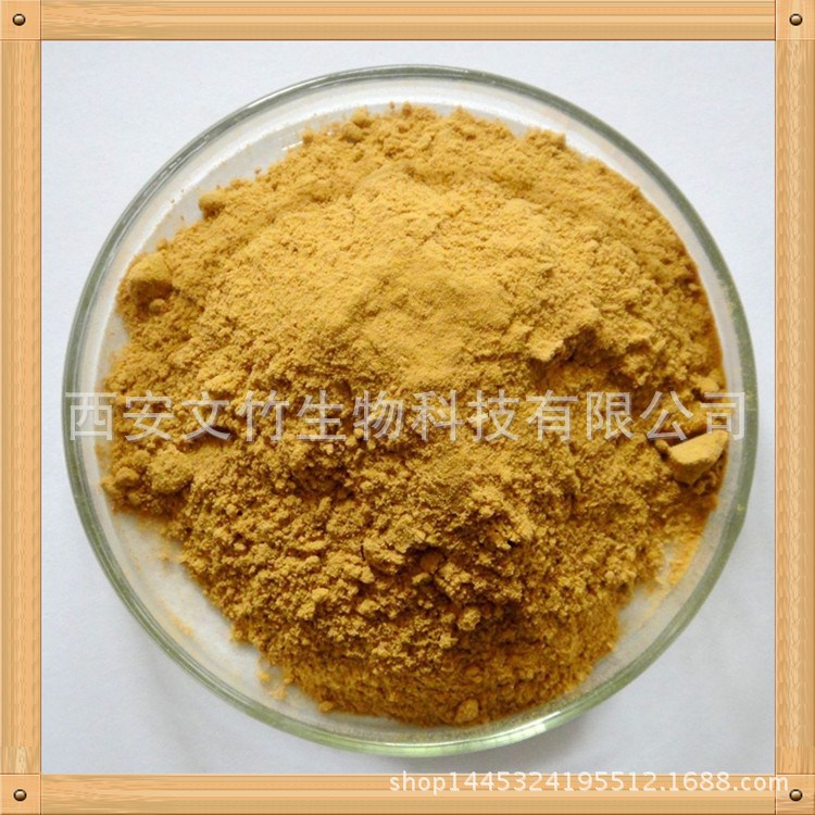 白果提取物 10：1