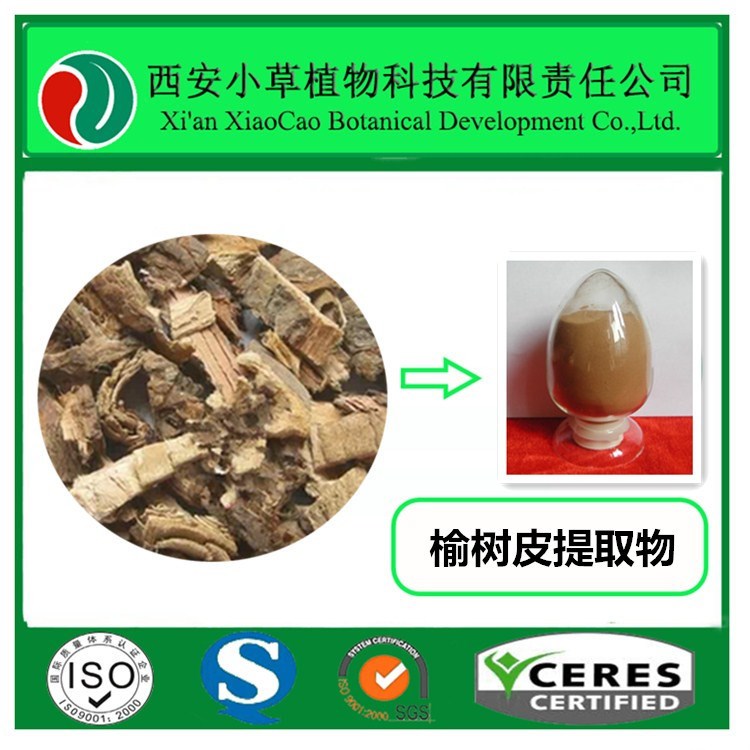 小草厂家现货供应榆树皮提取物10:1