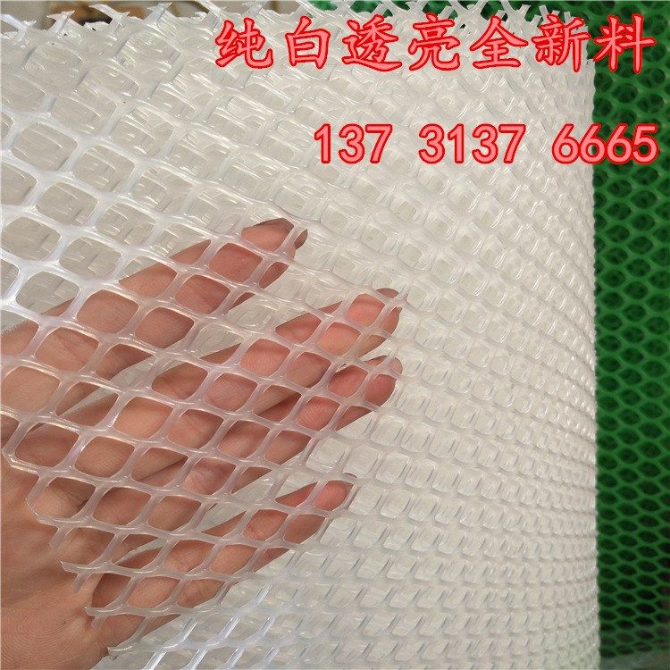 厂家供应 食品 医药加工用 白色塑料网 养殖塑料网 规格