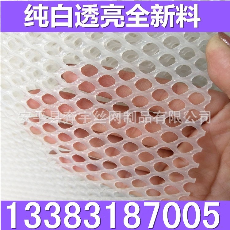 厂家生产 供应3毫米蜂箱用小孔白色塑胶网 塑料网 规格可定制