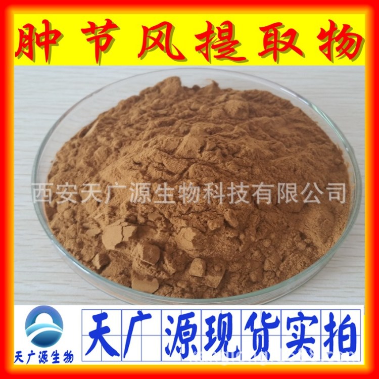 肿节风提取物 厂家直销 草珊瑚提取物 现货包邮肿节风提取物