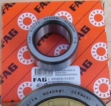 FAG N1008K.M1.SP