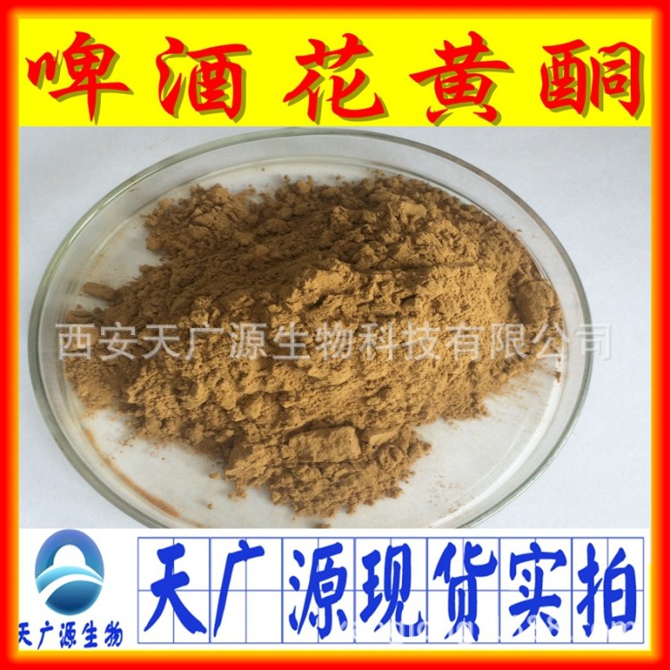 啤酒花提取物 厂家直销 天然啤酒花提取物黄酮6%现货