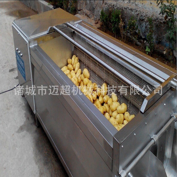 土豆清洗去皮机 胡萝卜去皮机 洗菜机厂家定做