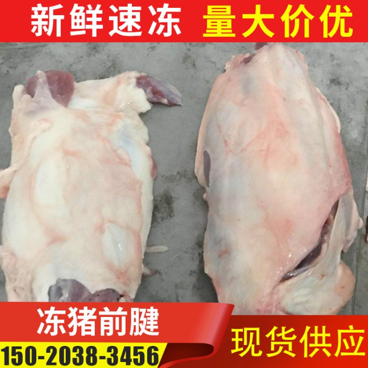 厂家供应冻猪前后腱子肉 新鲜冷冻猪前腱子肉 冻猪肉分割产品批发