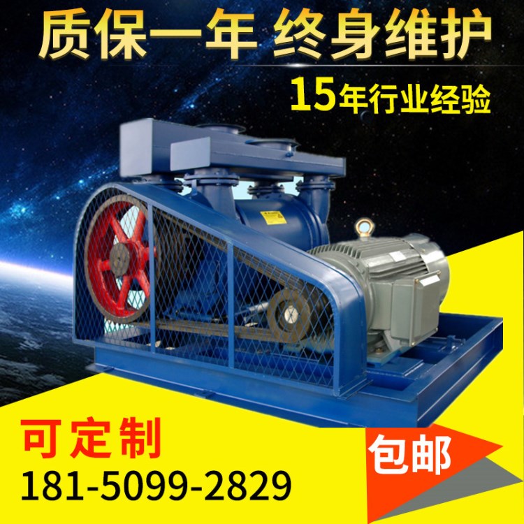 瓦斯抽放2BE1水环真空泵 水环泵12个月保修期2BV 2BEF SK 2SK SZ