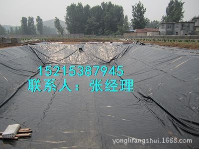 HDPE防渗膜加油站的储油罐防渗土工膜厂家直销