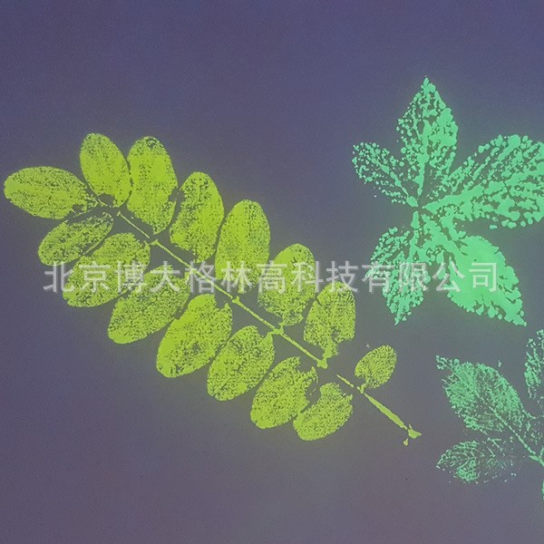 隐形水性印油 书画荧光墨水 拓印荧光液 紫外线显黄绿色印油1L