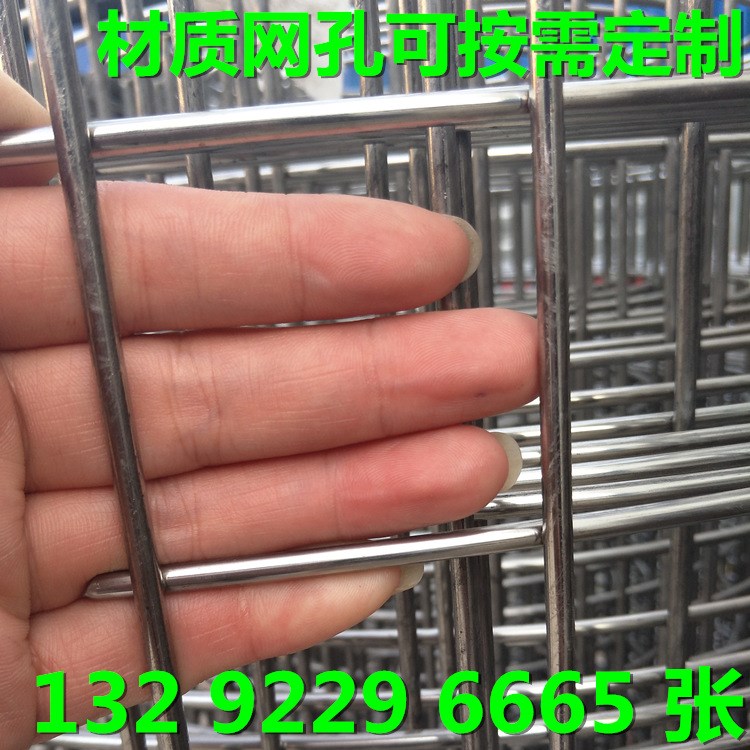 201 304 不锈钢焊接网片 工农业防护围栏网 方孔焊接网 厂家供应