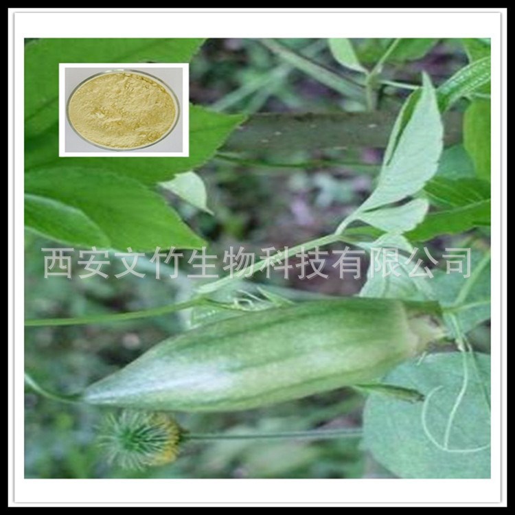 金龟莲提取物10:1 齐墩果酸 植物提取物