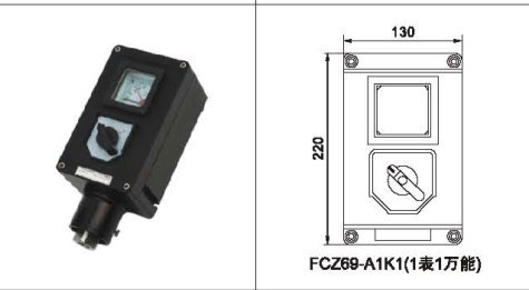 防爆防腐操作柱，FCZ69-A1K1，BZC8050,BZC8030 ,BZC8060