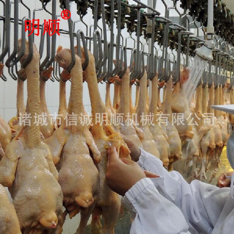 F  诸城信诚明顺鸡脱毛机卧式全自动鸡打毛机杀鸡设备厂家直销