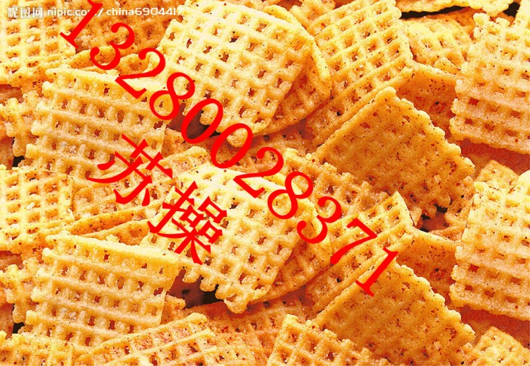 双螺杆膨化机,油炸面食生产线,药材膨化机