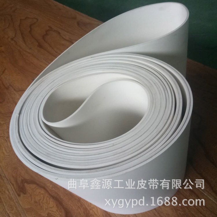 厂家直销泰州环形无缝2mm3mm食品级PVC白色输送带
