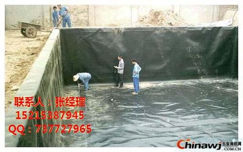 山东HDPE土工膜/天津港口防渗膜厂家直销