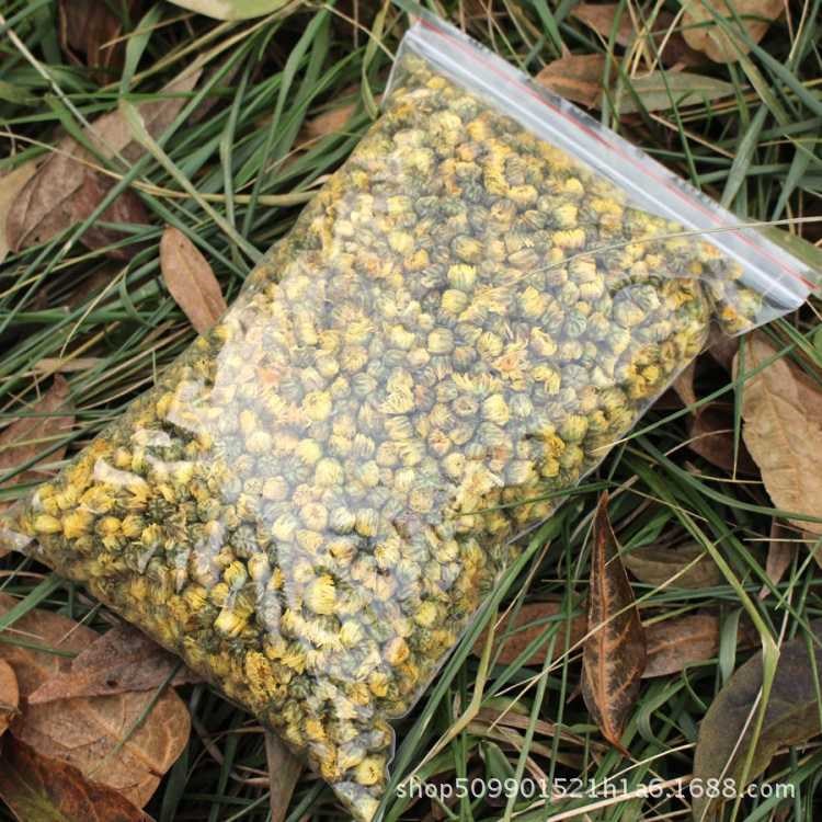 原产地直销现货 桐乡胎菊花茶 散装500g  浙江菊花茶批发