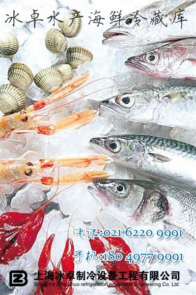 滁州冷库厂家直销\海鲜水产速冻冷库冷藏库\节能冷库\包安装