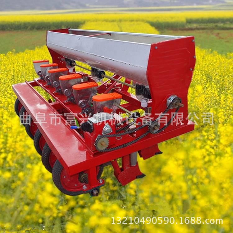 橄榄单粒播种机 桔梗精播机厂家 大卖10行苜蓿种植机厂家批发